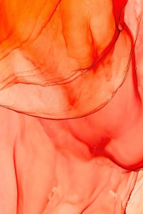 Exposition collective au Tympan