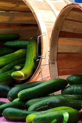 Marché des artisans et des producteurs à Albussac