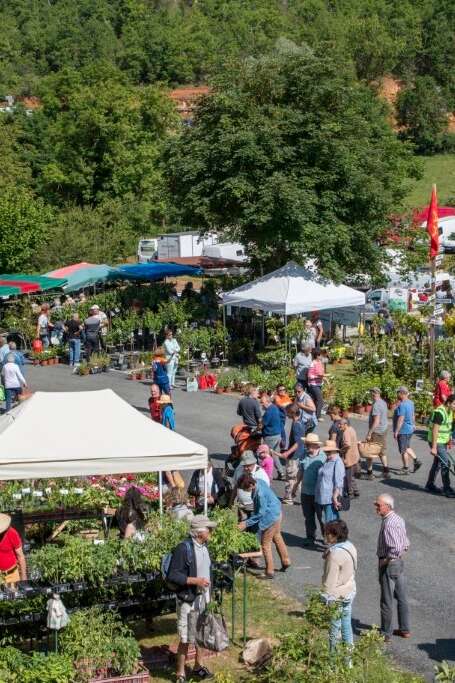 Fête des plantes rares