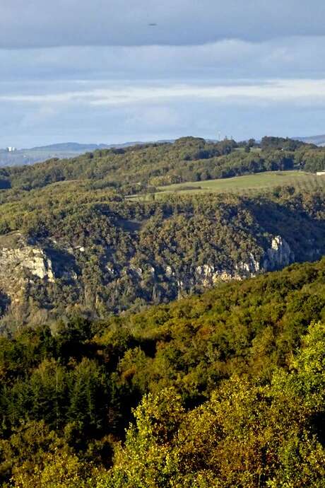 Pays d'Art et d'Histoire : Conférence - Quand les arbres dissimulent l’histoire : ce que le LIDAR révèle du Quercy
