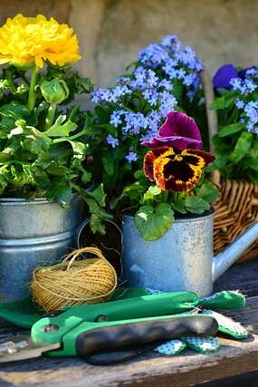 Floralies à Bétaille
