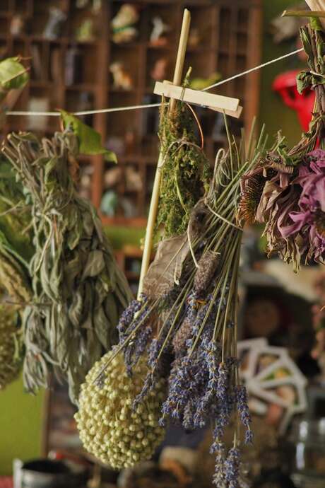 Atelier Herboristerie du Printemps