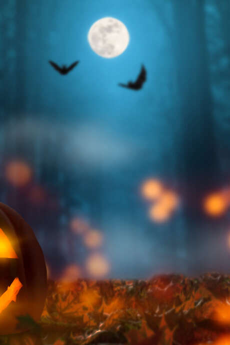 Soirée Halloween