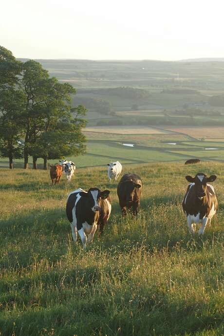 Le Lot de Ferme en Ferme : Découverte de la ferme du Pilou