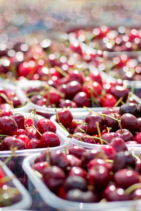 Foire aux cerises à Rilhac-Xaintrie