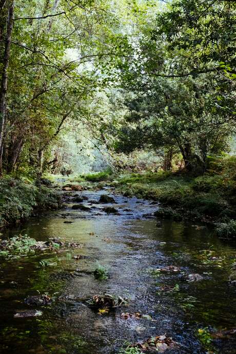 Atelier découverte "La petite faune aquatique de la Bave"