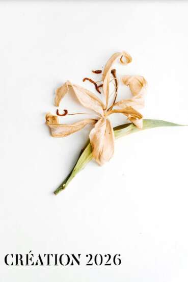 Festival de Rocamadour: Media Vita