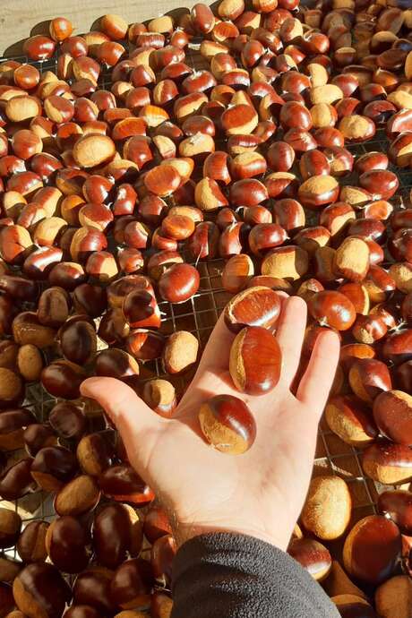 Ateliers cuisines à la Ferme de Louisotte