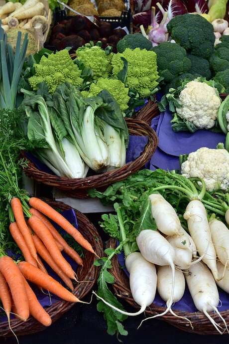 Marché bio à Saint-Laurent-Lolmie