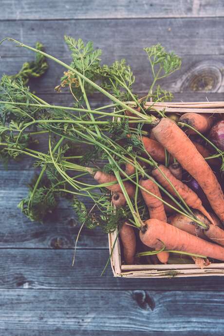 Marché estival des producteurs de Creysse