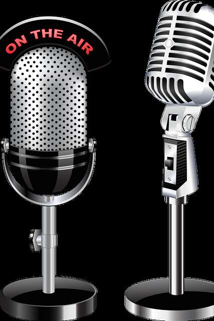 Festival de la Radio