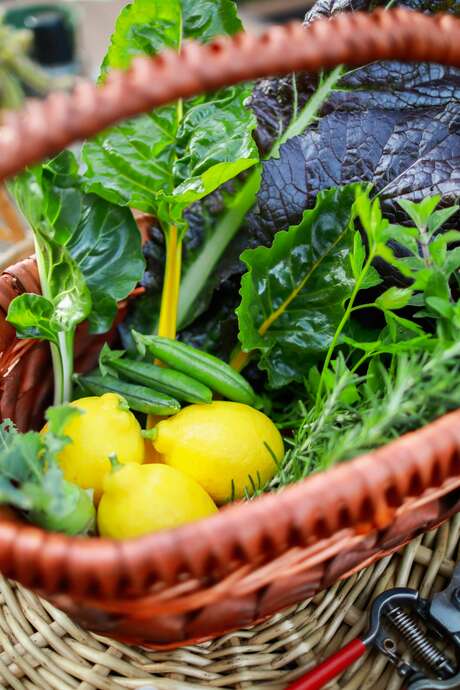 "Du jardin à l'assiette" - portes ouvertes gourmandes