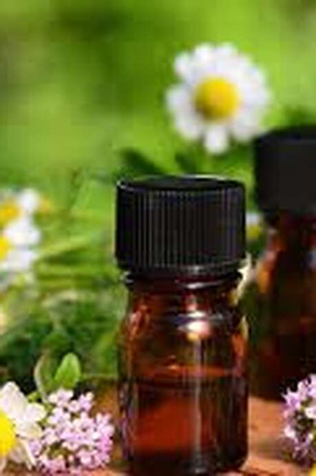 Rencontre avec les acteurs du bien-être à Pinsac