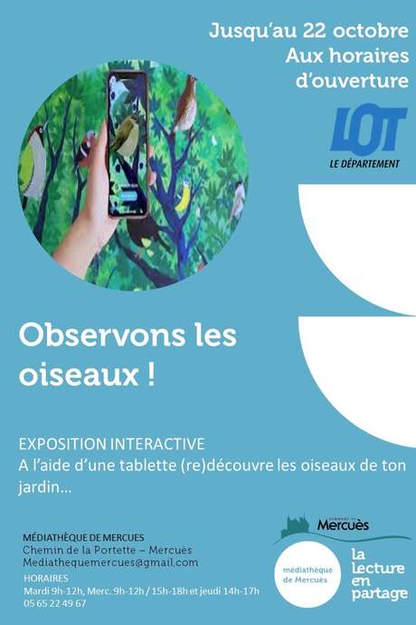 Exposition interactive : Observons les oiseaux!