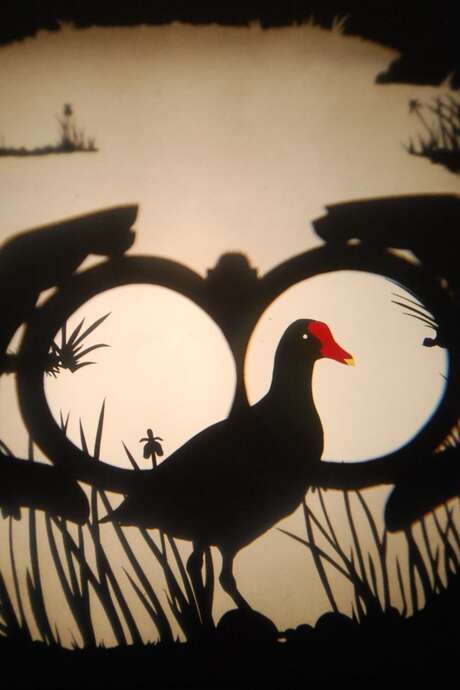 Théâtre de l'Usine - Volatile ombré