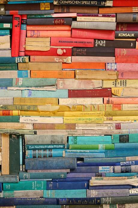 Salon du livre - La Truffière aux Livres de langue française