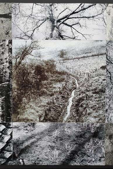 Exposition d'Art Contemporain "Skopies" à l'Espace 21