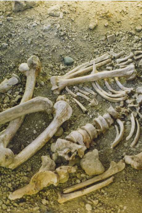 Journées Européennes du Patrimoine : visite de l'espace Neandertal, l'Homme de  la Chapelle-aux-Saints