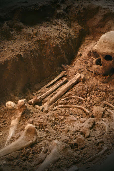 Les lundis de La Chapelle-aux-Saints - conférences scientifiques