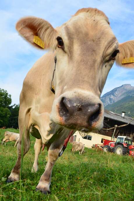 Comice agricole à Saint-Julien-aux-Bois