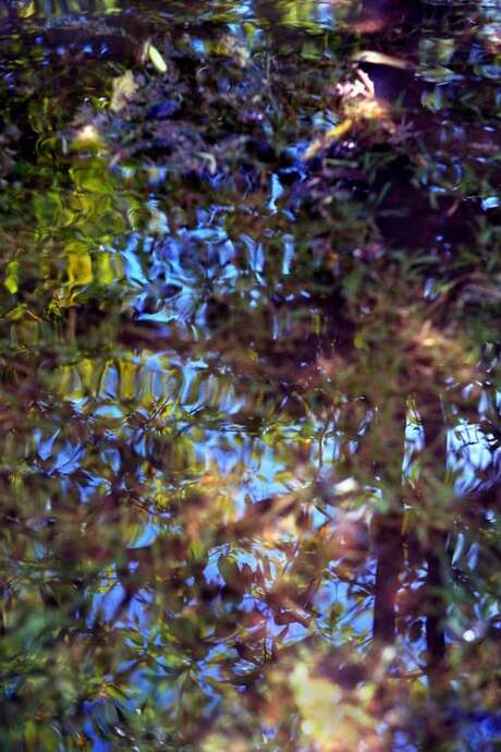 Stage "Hormone Yoga Therapy®" à Ladorée