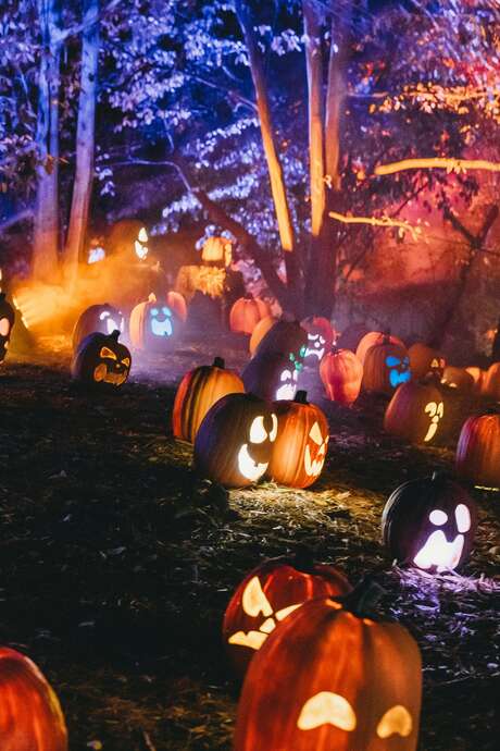 Halloween aux Tours de Merle : Saynète « Paroles de fantômes ! »