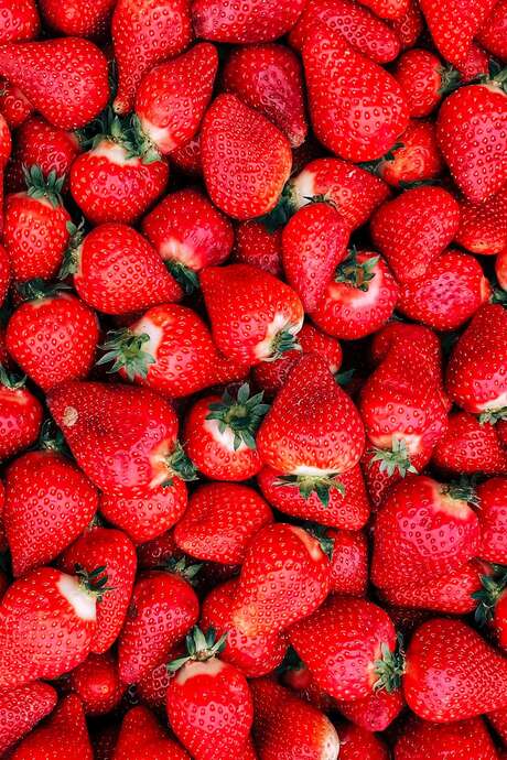 Fête de la Fraise