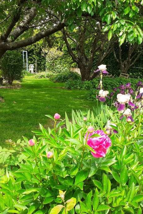 RDV aux jardins : Jardins des grandes oreilles