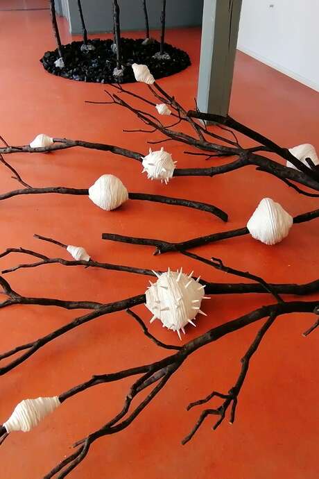 Exposition Prix Terre Commune