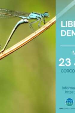 INITIATION AUX LIBELLULES ET DEMOISELLES