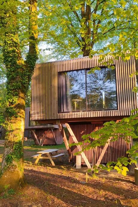 Lodges sur pilotis à L'Etape en Forêt