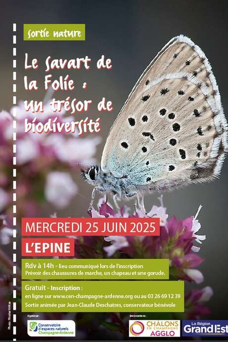 Le Savart de la Folie : un trésor de biodiversité