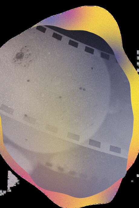 Soirée courts en champagne Soirée courts en champagne