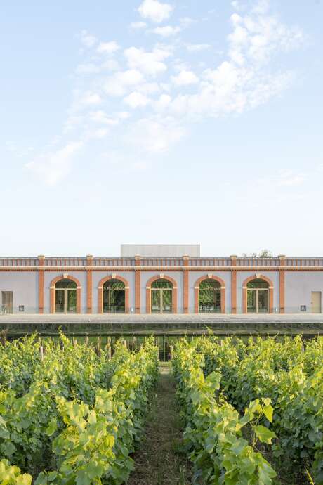 Vignobles en Scène : Animations inédites et experiences immersives chez Pressoria Vignobles en Scène : Animations inédites et experiences immersives chez Pressoria