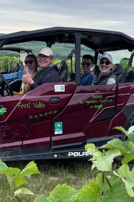Vignobles en Scène : Les vignobles historiques en Buggy