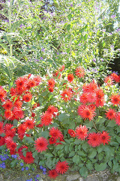 Fête Nature et Culture