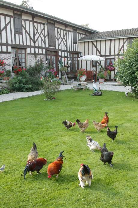 La Ferme Sympa