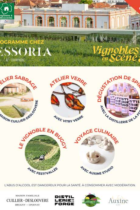 Vignobles en Scène chez Pressoria