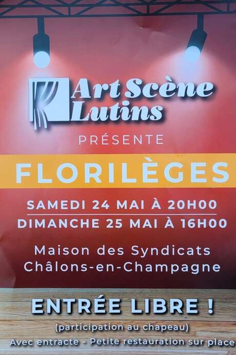 Théatre : Art Scène Lutins