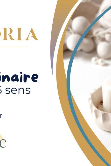 Vignobles en Scène : Voyage culinaire sensoriel chez Pressoria x Auxine Studio