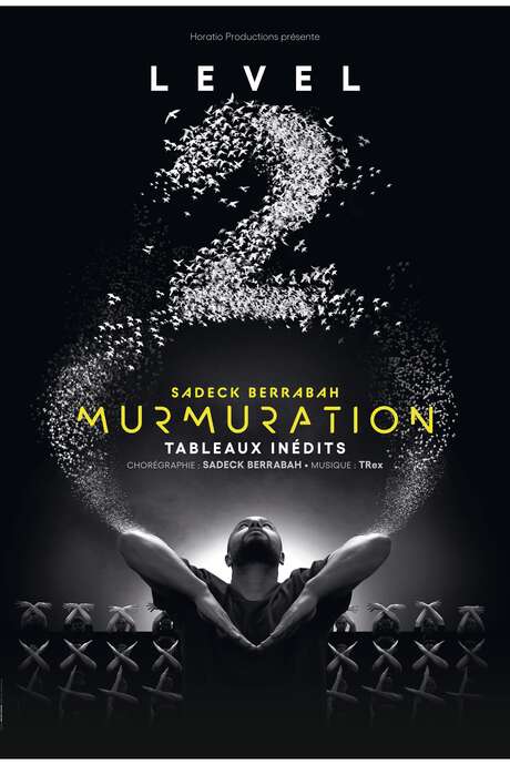 Spectacle : Murmuration - Level 2