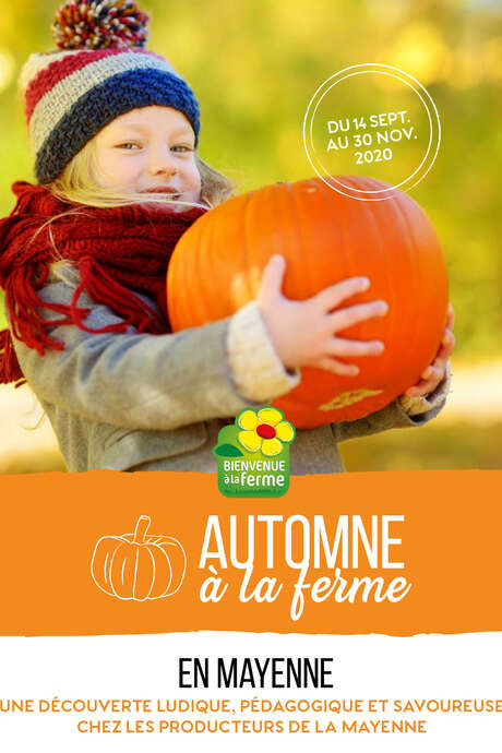 AUTOMNE À LA FERME | LA CUEILLETTE DU VERGER AUTOMNE À LA FERME | LA CUEILLETTE DU VERGER