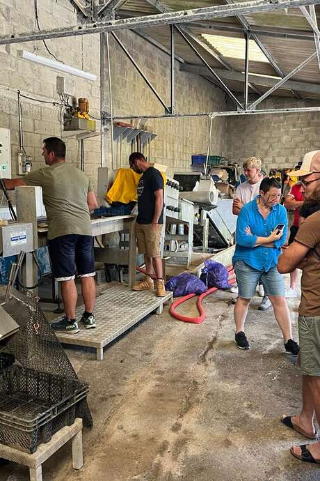 Visite guidée de chantier ostréicole et dégustation // Les mercredis à 10h