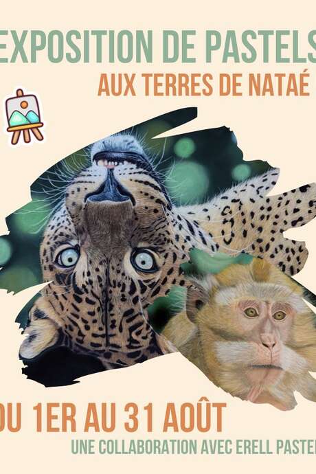 Exposition de pastel aux Terres de Nataé