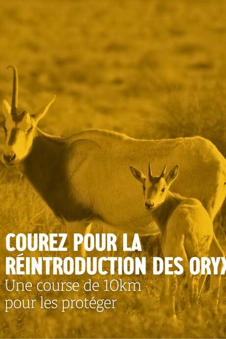 Un contre temps pour le vivant