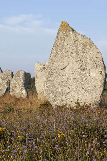 Visite guidée "Les constructeurs de menhirs"