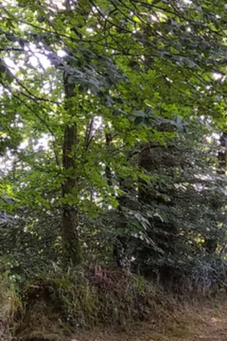 Balade contée au bord du Loch