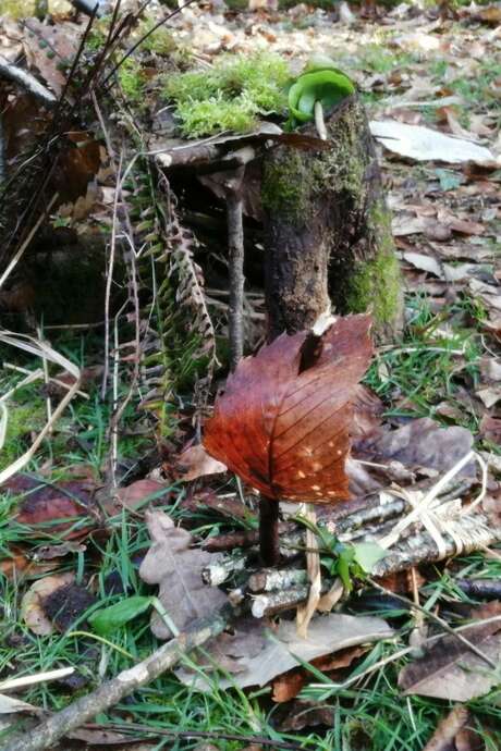 Animation nature : construire des cabanes de korrigans