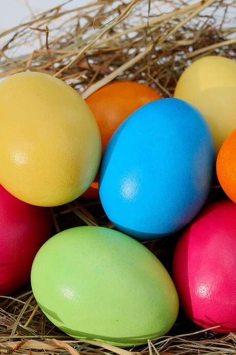 Chasse aux Œufs en chocolat