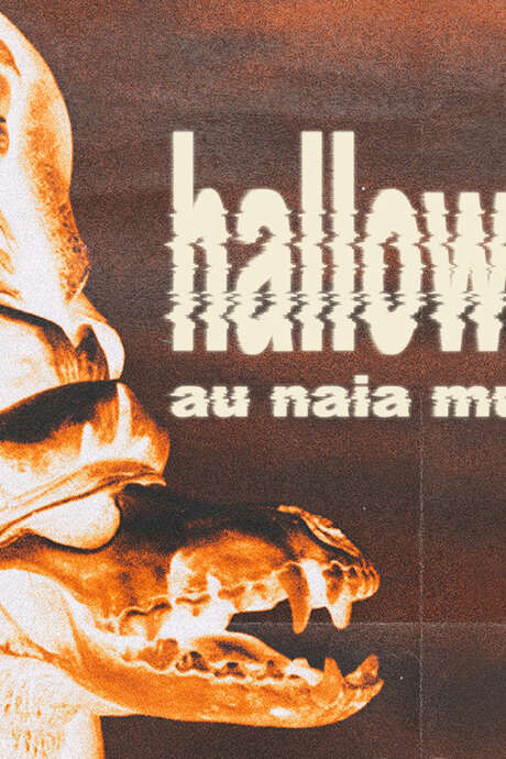 Hallowwen au Naia Museum